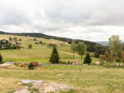 Holiday house Chalet in Hinterrod Thüringen mit Sauna - Environment photo 33