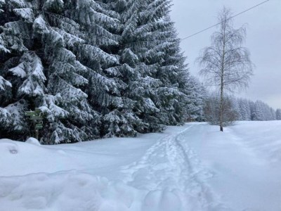 Holiday house Friedlicher Waldurlaub in Altenfeld - Environment photo 25