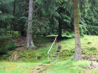 Holiday house Friedlicher Waldurlaub in Altenfeld - Environment photo 27