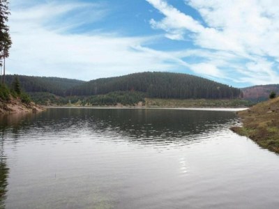 Holiday house Friedlicher Waldurlaub in Altenfeld - Environment photo 33