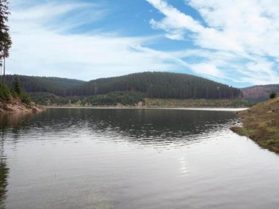 Holiday house Friedlicher Waldurlaub in Altenfeld - Environment photo 39