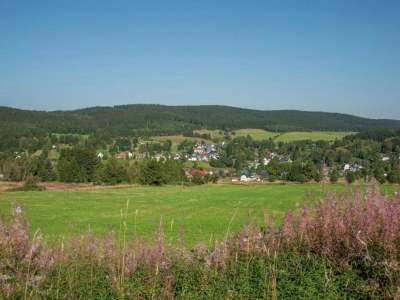 Holiday house Friedlicher Waldurlaub in Altenfeld - Environment photo 40