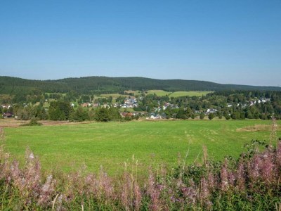 Holiday house Friedlicher Waldurlaub in Altenfeld - Environment photo 41
