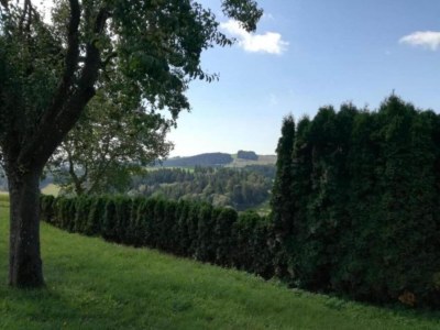 Holiday house Friedlicher Waldurlaub in Altenfeld - Environment photo 43