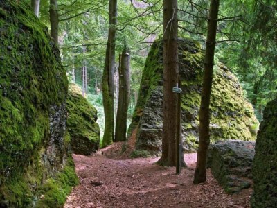 Holiday house Friedlicher Waldurlaub in Altenfeld - Environment photo 44