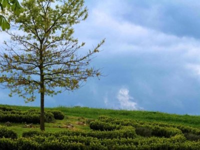 Holiday house Friedlicher Waldurlaub in Altenfeld - Environment photo 45