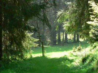 Holiday house Friedlicher Waldurlaub in Altenfeld - Environment photo 49