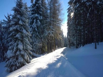 Holiday house Friedlicher Waldurlaub in Altenfeld - Environment photo 50