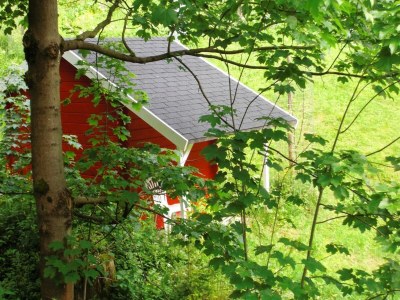 Holiday house Ferienhaus im Thüringer Wald - Features photo 12