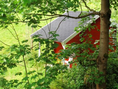 Holiday house Ferienhaus im Thüringer Wald - Features photo 24