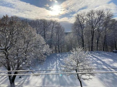 Holiday house Peaceful Forest Getaway - Environment photo 19