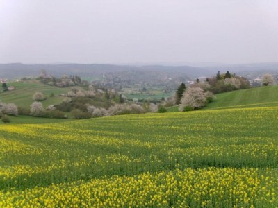 Holiday house Ruhiger Aufenthalt in Gehren - Environment photo 22