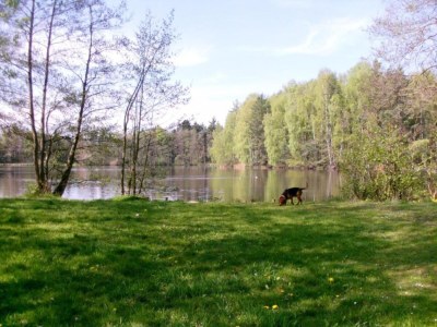 Holiday house Ruhiger Aufenthalt in Gehren - Environment photo 24