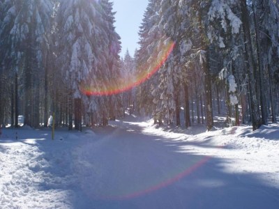 Apartment Apartment in Rennsteignähe - Environment photo 23