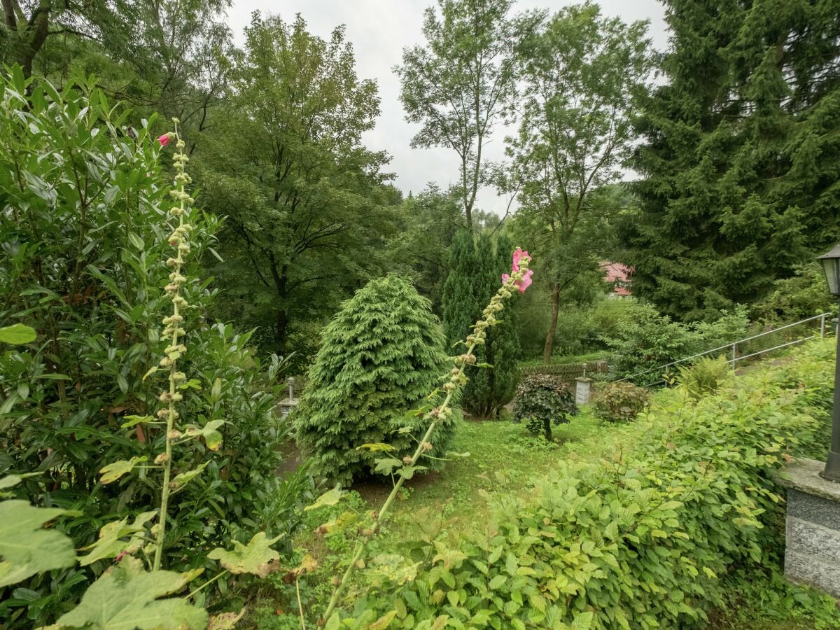 Bungalow Harz Home with Outdoor Space - Outdoor photo 2