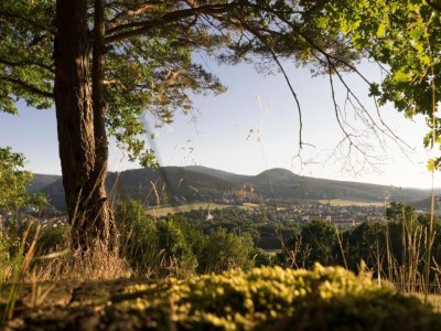 Apartment Apartment Near Thuringian Forest - Environment photo 34