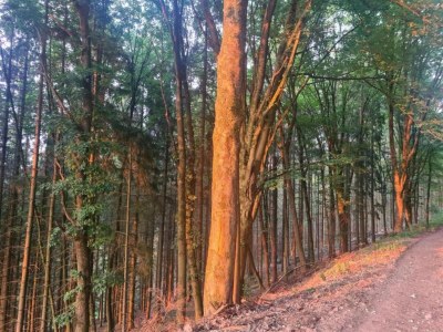 Apartment Apartment Near Thuringian Forest - Environment photo 35