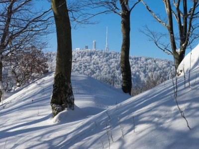 Apartment Apartment Near Thuringian Forest - Environment photo 36