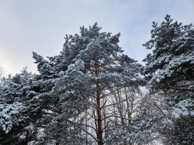 Apartment Apartment Near Thuringian Forest - Environment photo 37