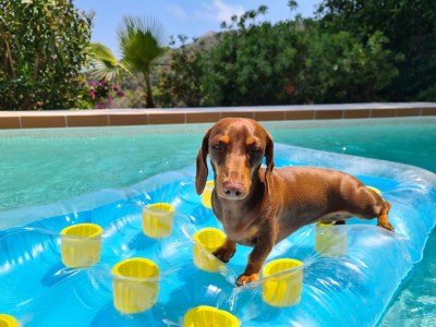 Villa Familienurlaub an der Costa Brava - Outdoor photo 9