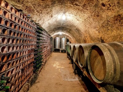 Cottage Spacious Wine Cellar Mansion - Outdoor photo 36