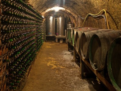 Cottage Spacious Wine Cellar Mansion - Outdoor photo 40