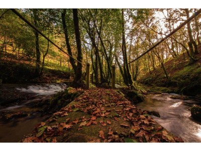 Holiday house Cozy Cottage with Pool & Terrace - Environment photo 33