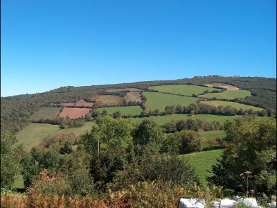 Holiday house Cozy Cottage with Pool & Terrace - Environment photo 35