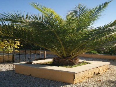 Holiday house Finestrat Villa mit Aussicht - Outdoor photo 9