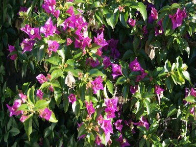 Holiday house Finestrat Villa mit Aussicht - Outdoor photo 19