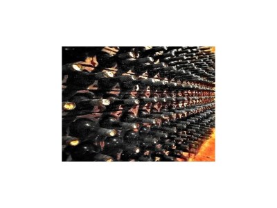 Cottage Mansion in Salinillas with Private Pool - Outdoor photo 41