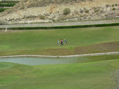 Villa Luxury Villa Near Costa Blanca - Environment photo 37