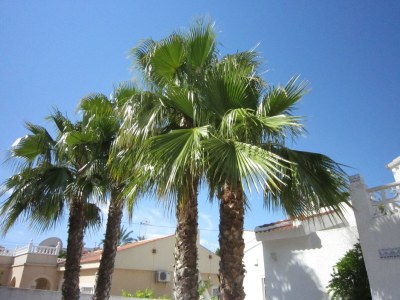 Villa Rojales Villa with Jacuzzi - Outdoor photo 7