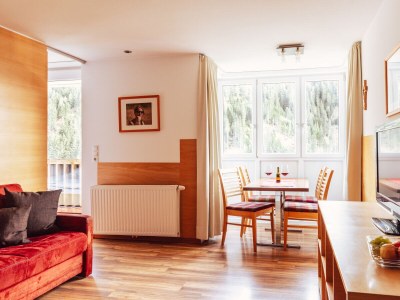 Holiday apartment Mattle Guesthouse kappl tyrol silvretta - Features photo 9