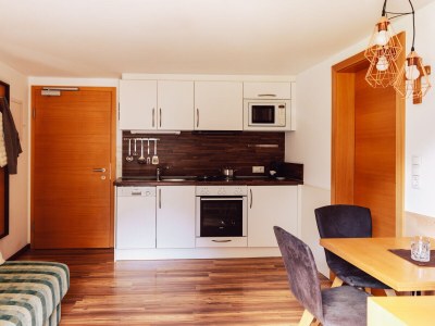 Holiday apartment Mattle Guesthouse kappl tyrol silvretta - Features photo 11