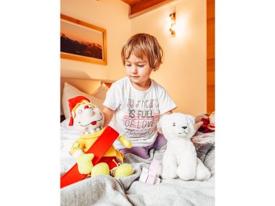 Holiday apartment Mattle Guesthouse kappl tyrol silvretta - Features photo 13