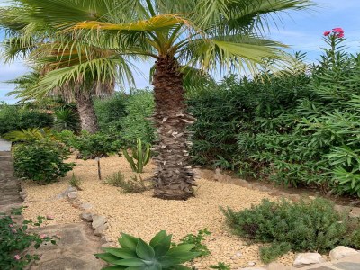 Villa Granadella Bay Hideaway - Outdoor photo 15