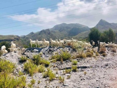 Villa Tranquil Vista in Pedreguer - Environment photo 22