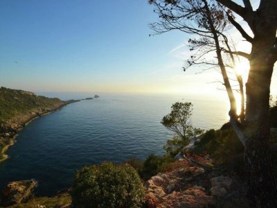 Chalet Chalet in El Toro mit Pool am Meer - Environment photo 33