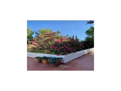 Villa Villa auf Ibiza nahe Benirràs Strand - Outdoor photo 8