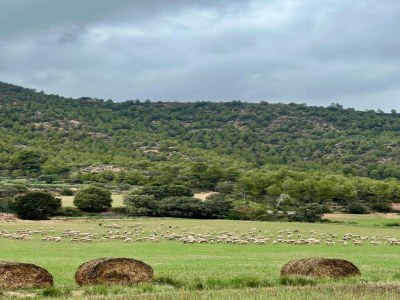 Holiday house Hütte in Maians mit Meerblick & Pool - Environment photo 35