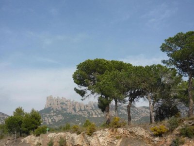Holiday house Hütte in Maians mit Meerblick & Pool - Environment photo 37