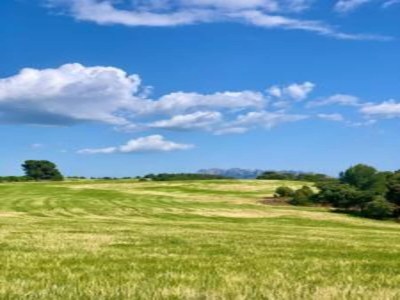 Holiday house Hütte in Maians mit Meerblick & Pool - Environment photo 39