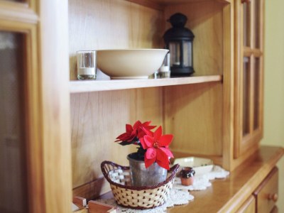 Holiday house Cottage in Maians with Shared Pool - Features photo 12