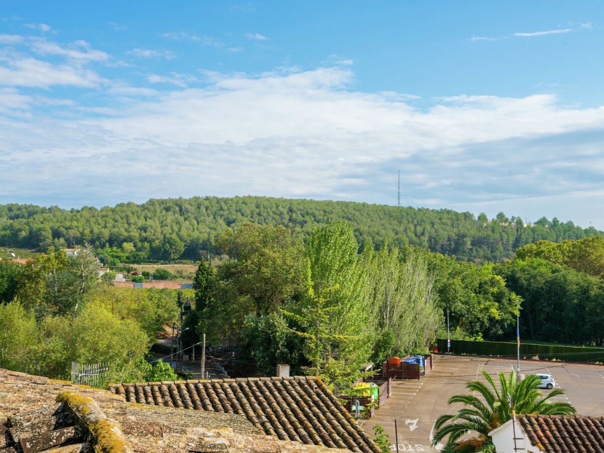 Holiday house Hütte in Pacs nahe Schloss St. Marti Sarroca - Outdoor photo 4