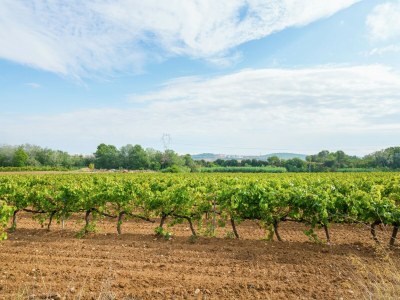 Holiday house Hütte in Pacs nahe Schloss St. Marti Sarroca - Environment photo 25