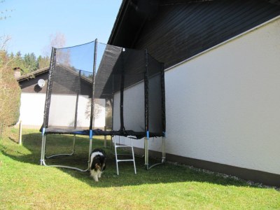 Holiday house in Zandt - Outdoor photo 6