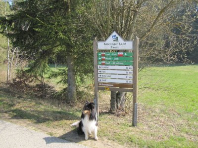 Holiday house in Zandt - Environment photo 28