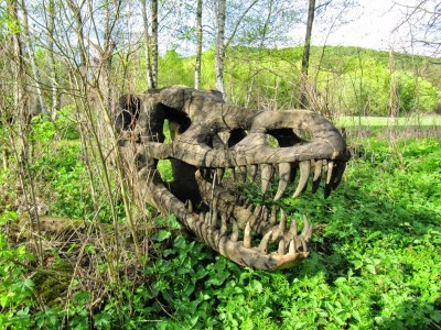 Holiday house in Zandt - Environment photo 30