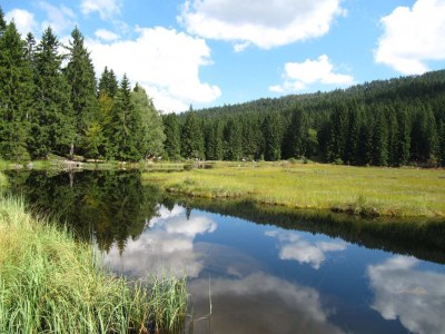 Holiday house in Zandt - Environment photo 32